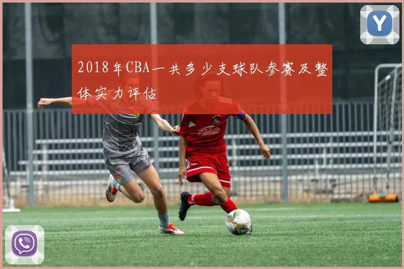 2018年CBA一共多少支球队参赛及整体实力评估