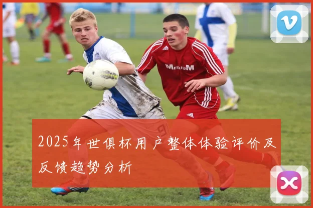 2025年世俱杯用户整体体验评价及反馈趋势分析