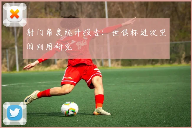 射门角度统计报告：世俱杯进攻空间利用研究