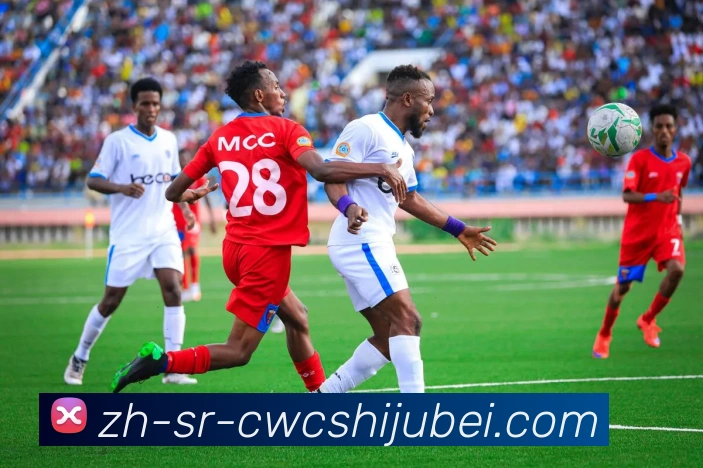 世界杯买球服务体系